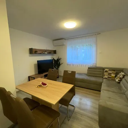 Apartma Dzana *