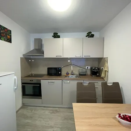 Apartma Dzana Apartment