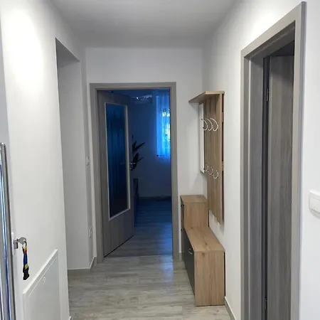 Apartma Dzana *