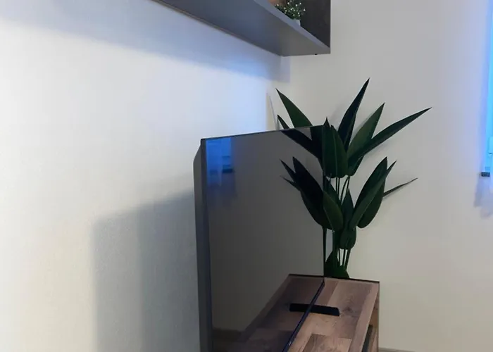 Apartma Dzana Apartmán *