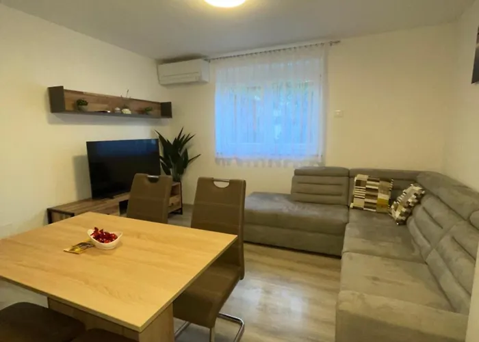 Apartma Dzana * Zaga