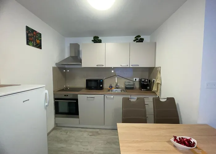 Apartma Dzana דירה